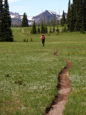 Hiking in Grand Park