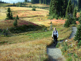 Day Hiking at Mount Rainier Mount Rainier National Park U.S. National Park Service