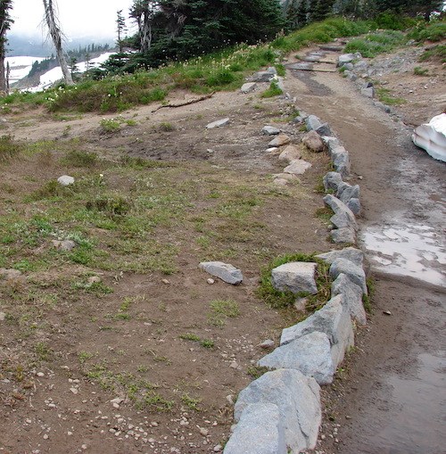 Worn soil and trampled plants next to a muddy trail.