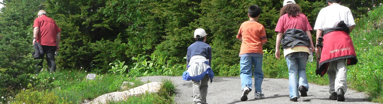 Group of hikers In the foreground, a group walks along a paved trail. Another walker carrying a jacket is a few steps ahead of the group on the path.