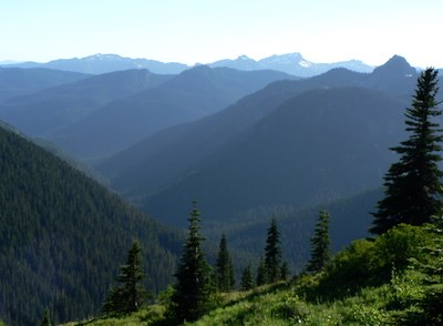 A forested valley and rows of rolling forested hills.