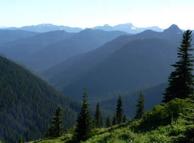 Ohanapecosh Valley A forested valley and rows of rolling forested hills.