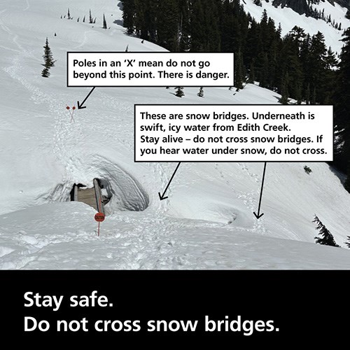 Tracks cross over two snowbridges next to a wood bridge. Text pointing out the snowbridges reads "These are snow bridges. Underneath is swift icy water from Edith Creek. Stay alive do not cross snowbridges. If you hear water under snow, do not cross."