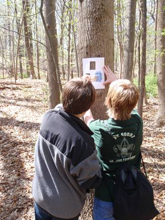 boy scouts working on  trails as part of service project.