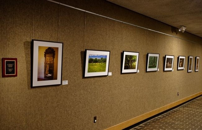 photographs display
