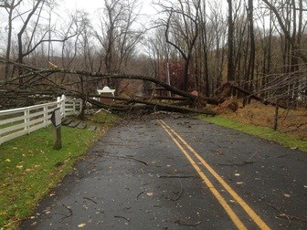 Western Ave entrance to Jockey Hollow after Hurricane Sandy