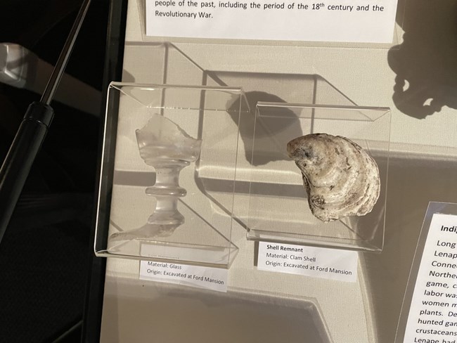 A partial glass stem on display next to a sea shell with matching labels inside a museum case with other artifacts.