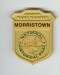 Gold badge for kids that looks similar to the NPS ranger badge. Gold badge for kids that looks similar to the NPS ranger badge.