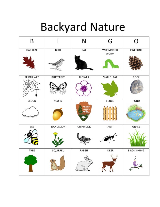 A sample bingo game board, a five by five grid with images and words within.