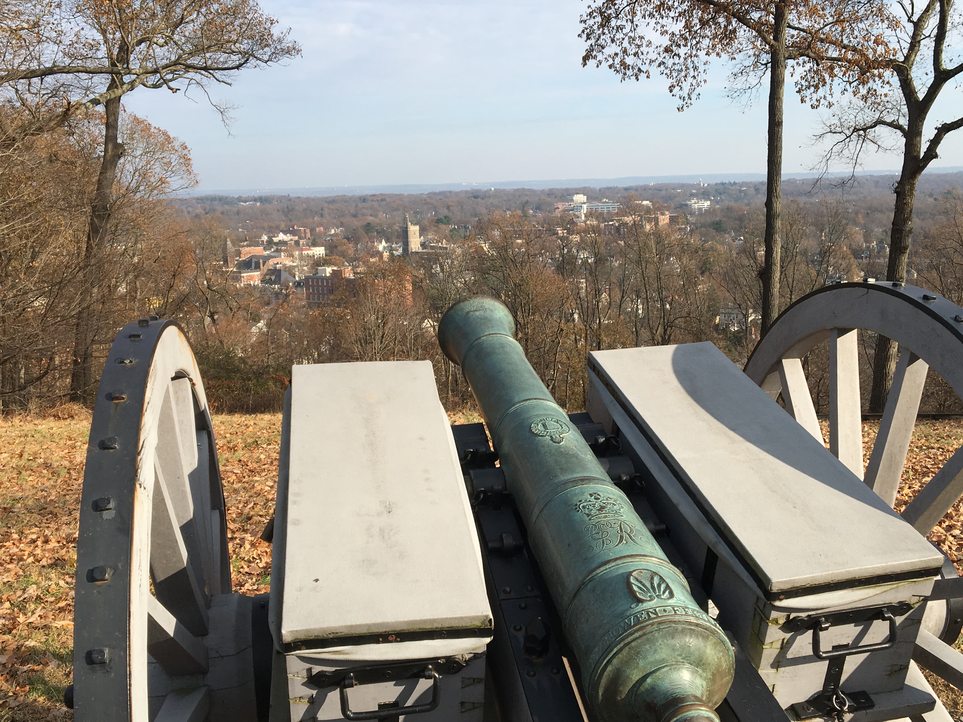 The view from Fort Nonsense with cannon pointing toward the horizon