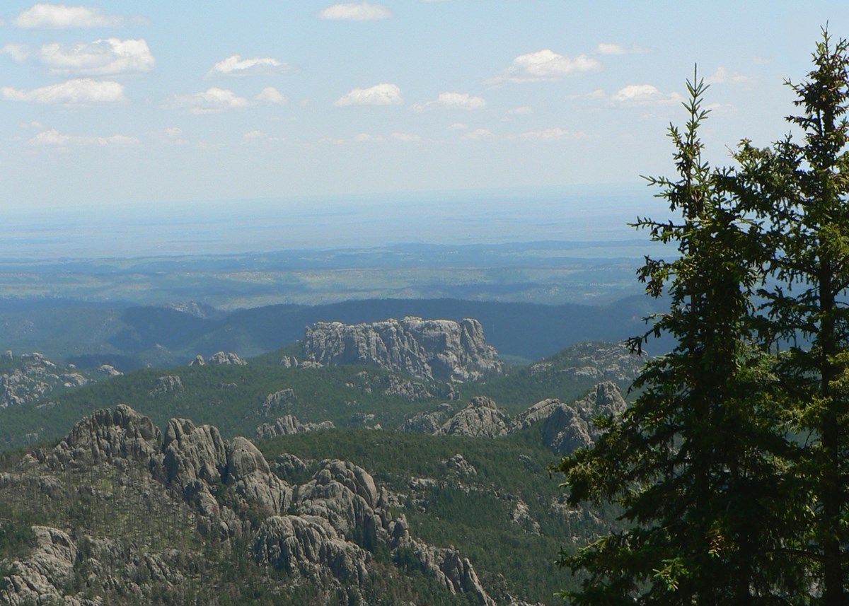 View of the Black Hills from behind Mount Rushmore with Black Hills spruce trees in the foreground.  The plains of South Dakota are just visible in the distant background