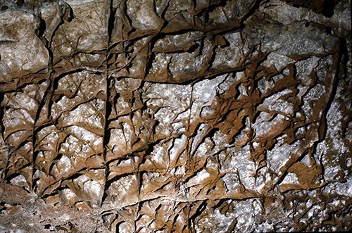 Boxwork, a calcite formation common in Wind Cave. Boxwork, a calcite formation common in Wind Cave.