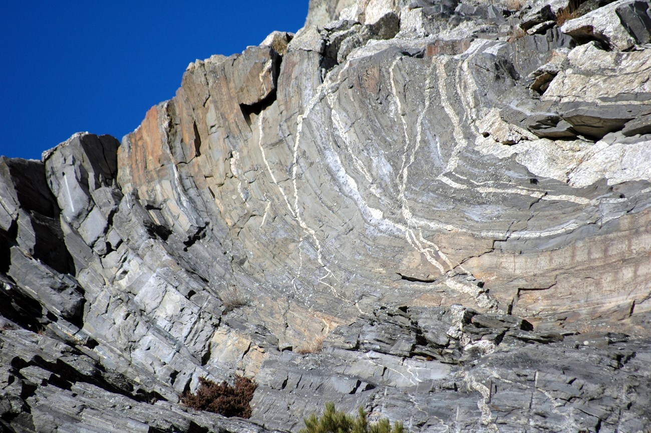 Dark gray folded rock layers that are horizontal on the right side of the image are bent nearly vertical on the left side of the image. Lighter colored veins of granite cut across the layers on Mount Rushmore below the sculpted faces.