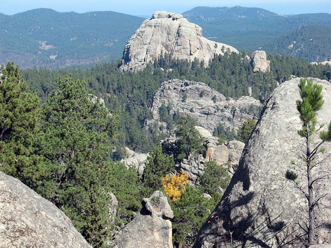 Granite outcroppings surrounded by ponderosa pine forest.