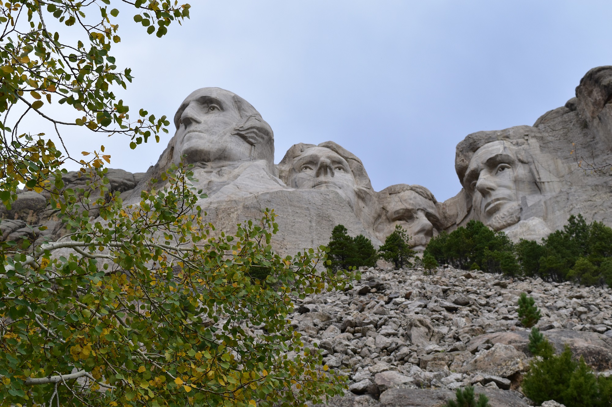 Close up view of Mount Rushmore with yellow and green aspen leaves below.