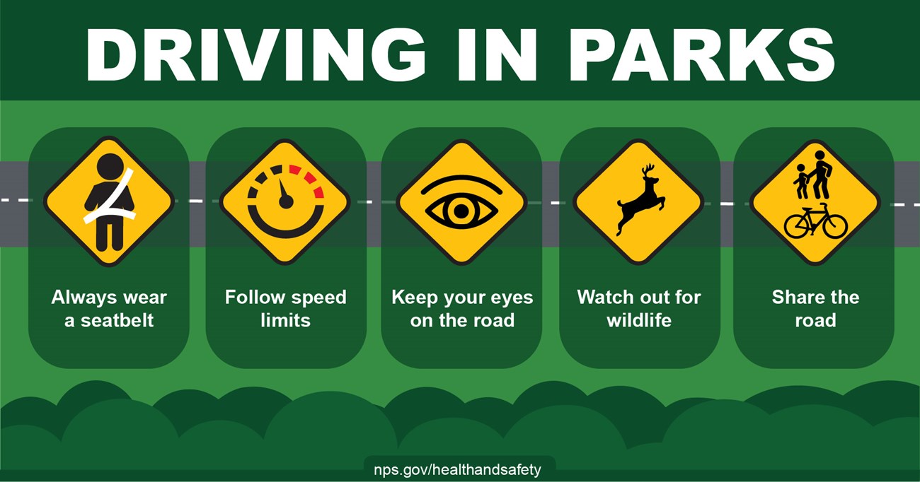 Driving in parks infographic using icons in the shape of a yellow diamond with the following safety messages:  Always wear a seatbelt represented by an icon of a person buckled up. Follow speed limits represented by the icon of an odometer. Keep your eyes