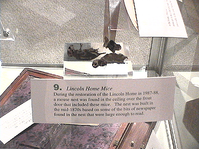 image of exhibit that includes dead mice found in historic newspaper in Lincoln home