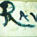 Grafitti GOGA 2438h5