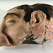 Head GOGA 404