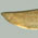 Pocket Knife