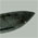 Pocket Knife
