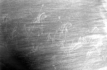 Historical Photo, See caption to right