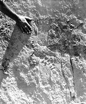 Historical Photo, See caption to right
