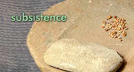 "Subsistence" - image representing Chaco subsistence, with photo of corn grinder