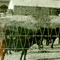 Corralled Horses and Mules at Death Valley Ranch