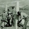 Workers Installing Boundary Fence Posts