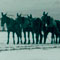 Twenty Mule Team Crossing the Marsh South of Devils House