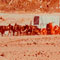 Twenty Mule Team in Death Valley