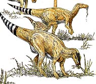Artist's conception of grazing dinosaurs