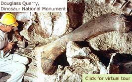 Dinosaur Quarry, a scientist at work, click for a 'virtual tour'