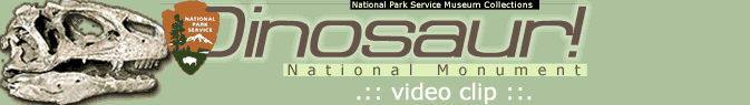 Dinosaur, NM, Video Clip