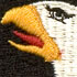 Military Patch - EISE 9554