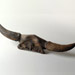 GRKO11065_bisonskull