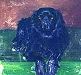 Family Spaniel