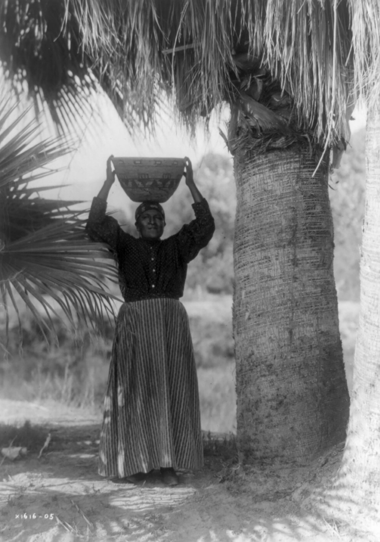 The Harvester -- Cahuilla
