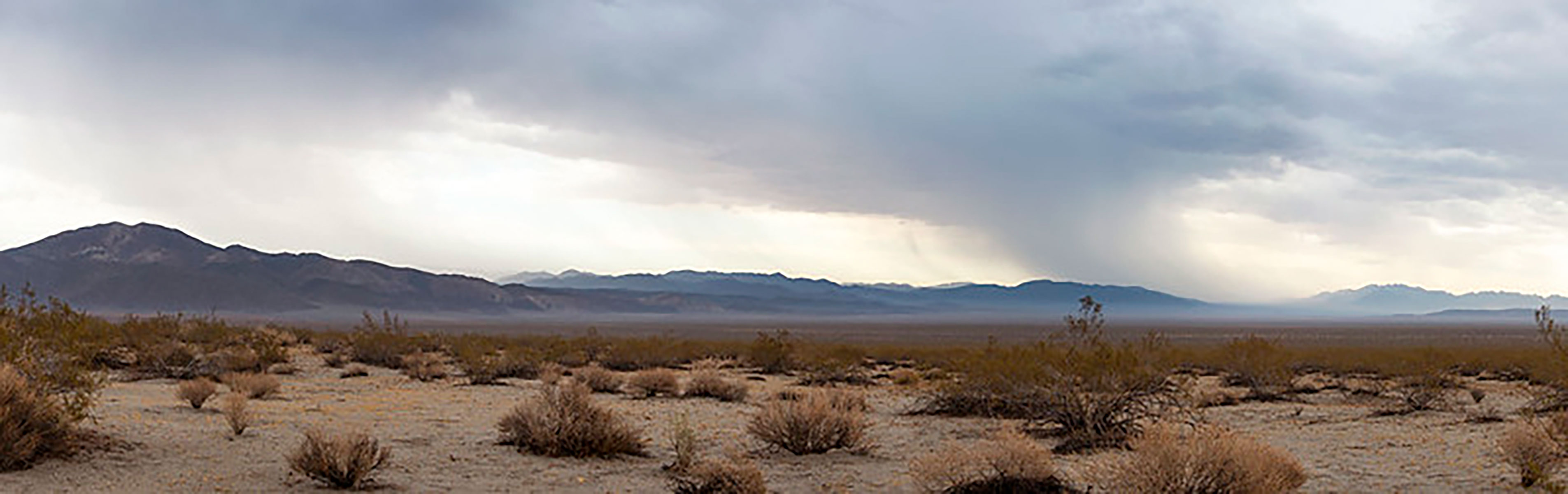 Rain in the Pinto Basin