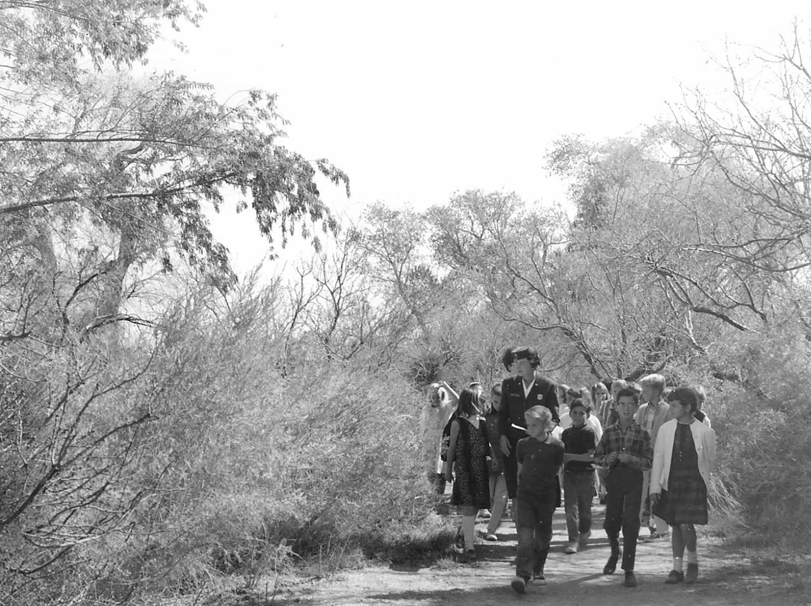 Susan Luckie Reilly, seasonal naturalist at Joshua Tree National Park