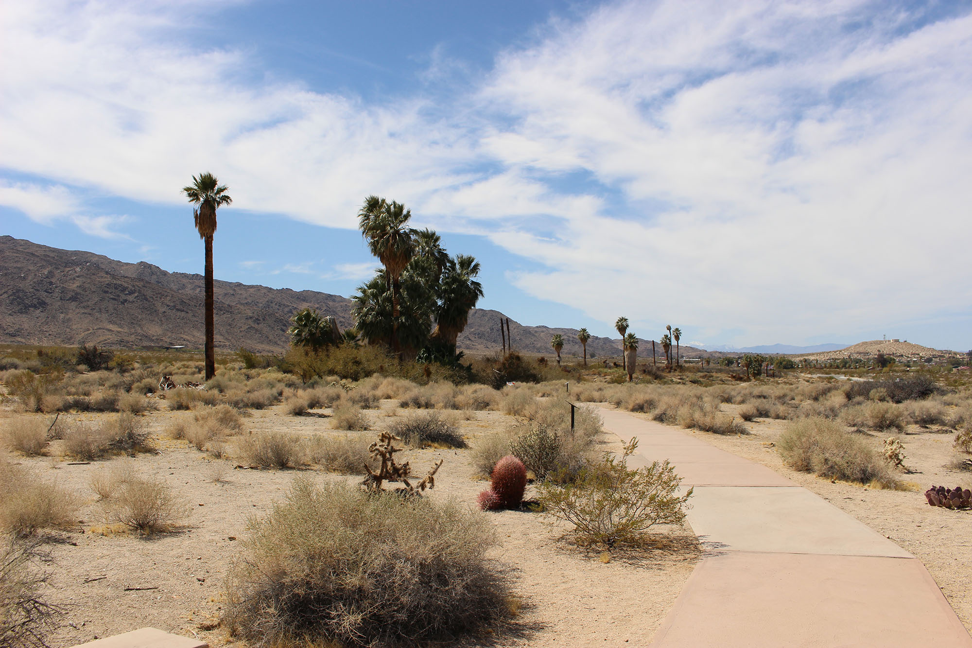 Oasis of Mara today