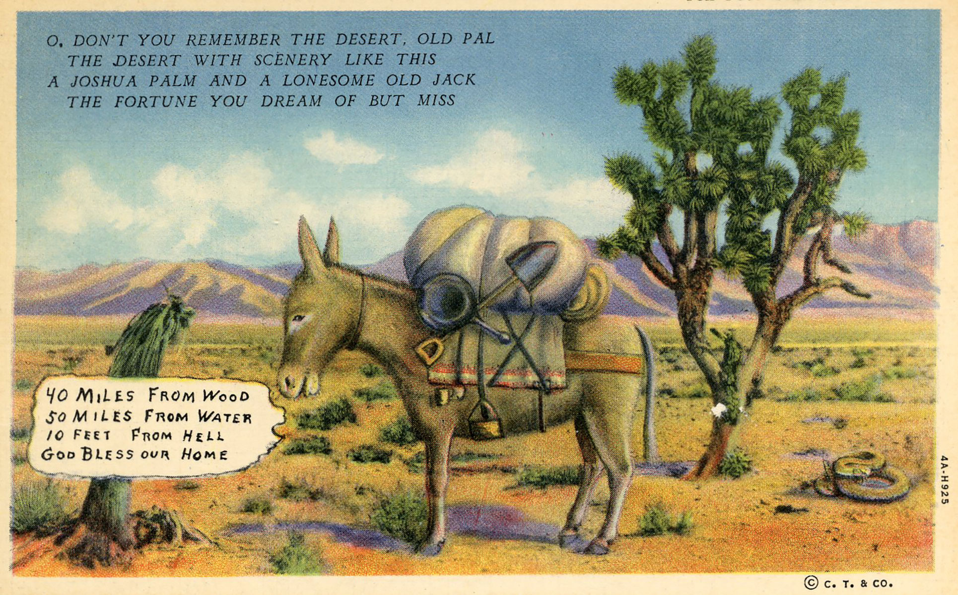 Joshua Tree National Monument” Postcard