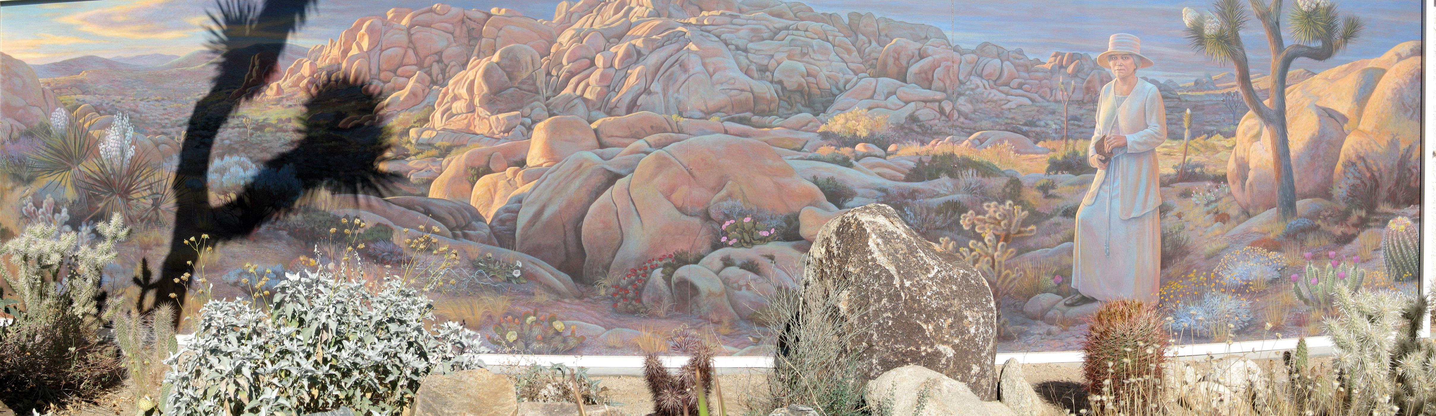 Joshua Tree landscape