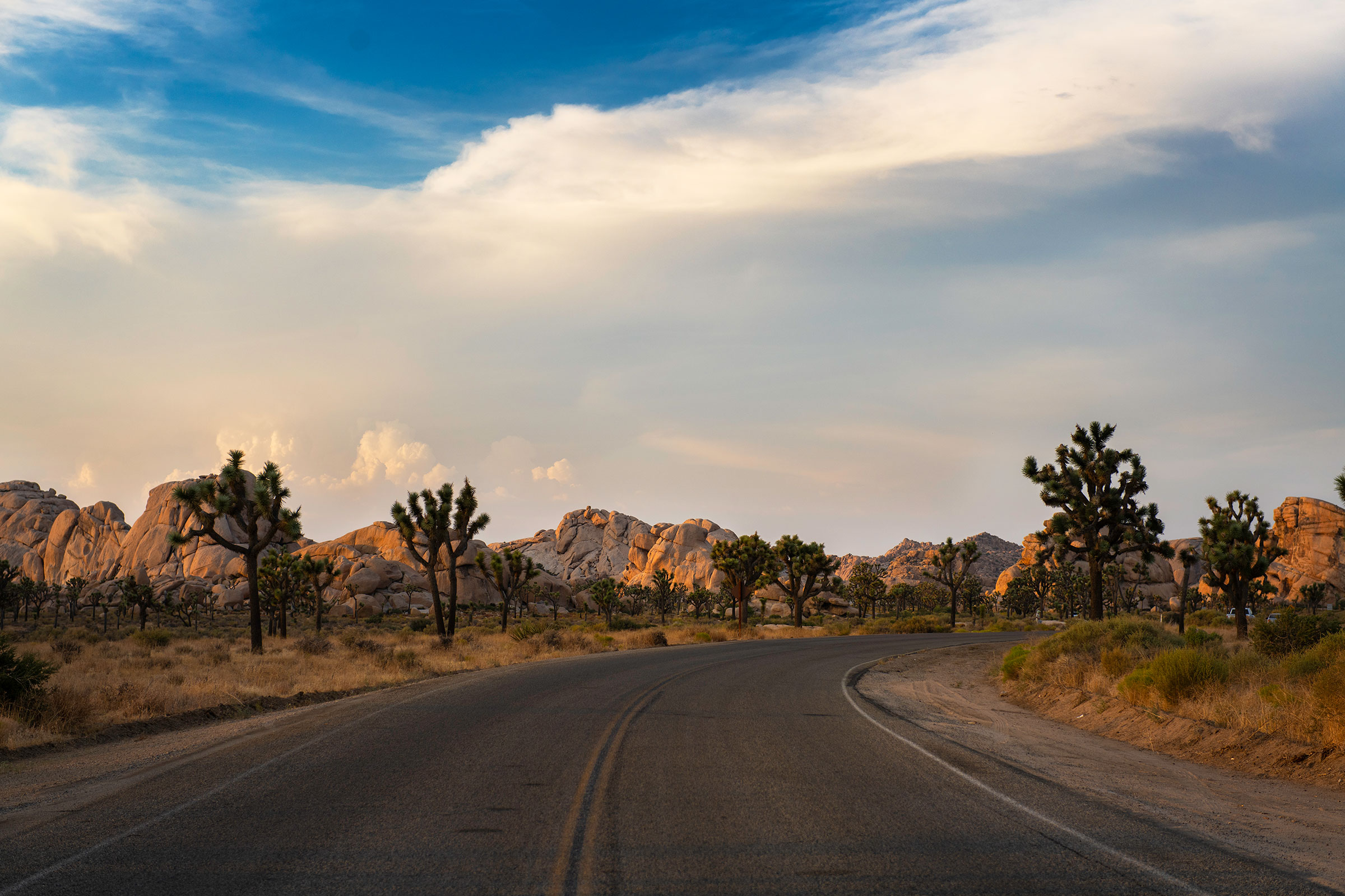 Park Boulevard through Hidden Valley