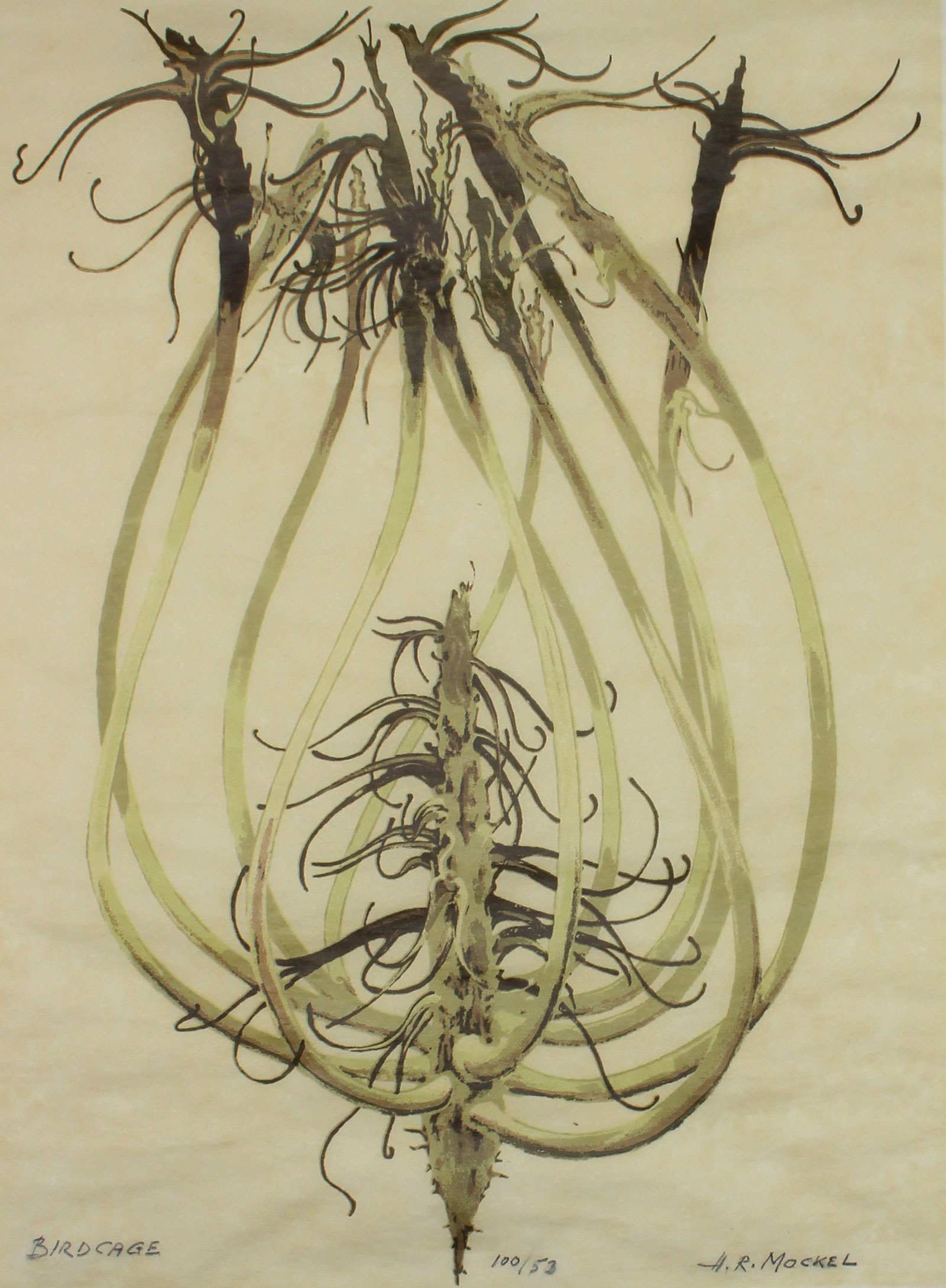 Dune Evening Primrose Birdcage print