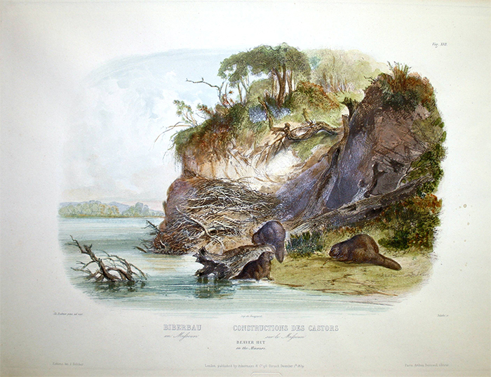 Image of painting titled Beaver Hut on the Missouri