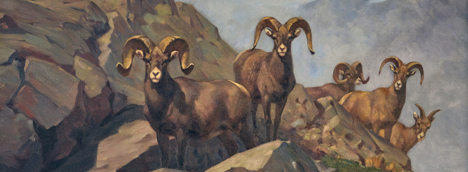Image of painting titled Rocky Mountain Big Horn Sheep