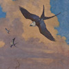 Image of painting titled Swallow-Tailed Kite