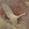 Image of painting titled Snow Goose